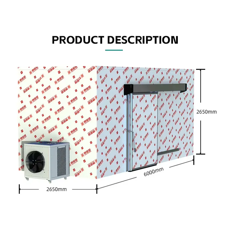 Professional Commercial Food D - Commercial Kitchen Kitchen ulasan dan harga